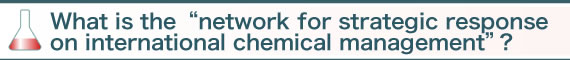 What is the "network for strategic response on international chemical management"?